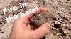 Digging For Fire Agates Rockhounding Oatman Az