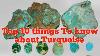 Top 10 Things To Know About Turquoise