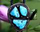 Vintage 3-stone BLUE TURQUOISE + STERLING BOLO TIE Southwestern Navajo old pawn